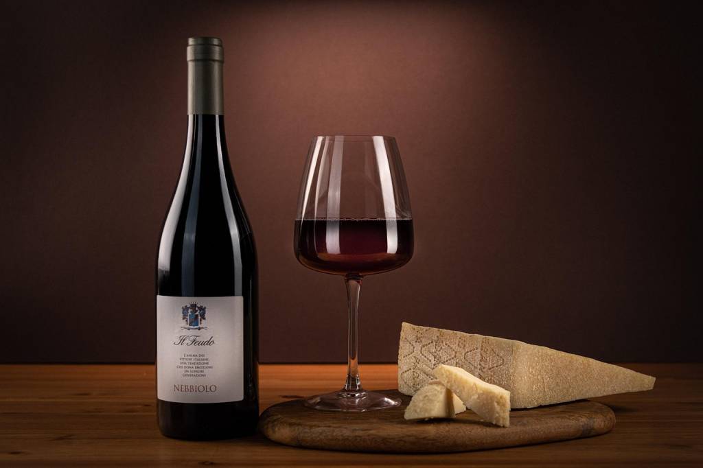 Quel vin choisir pour déguster du fromage de chèvre Soignon